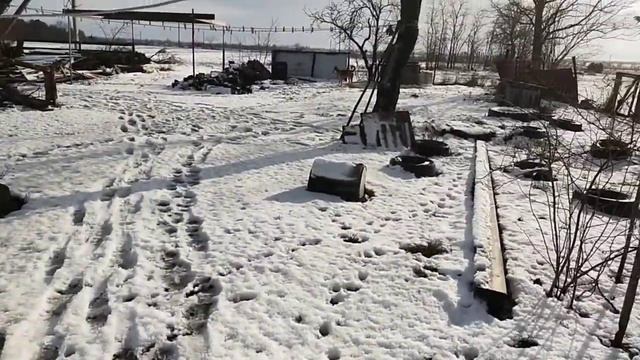 куры, курочки, курёхи смотреть онлайн