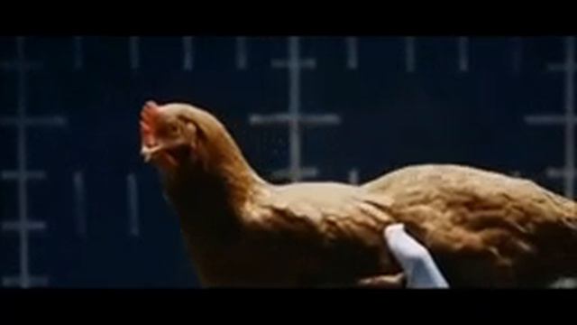 10 Hours of Mercedes Chicken смотреть онлайн