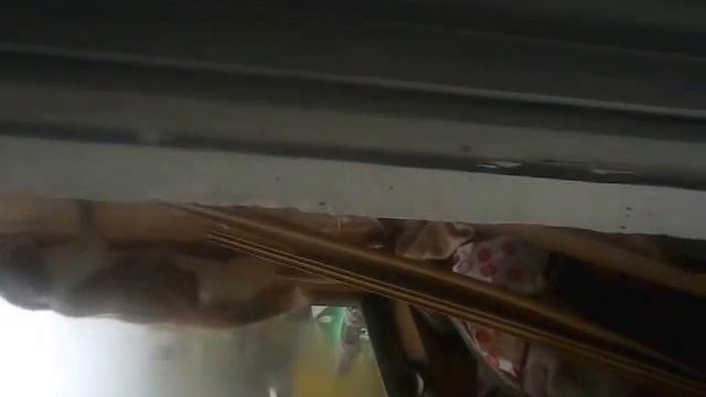 кот понял что его спалили смотреть онлайн