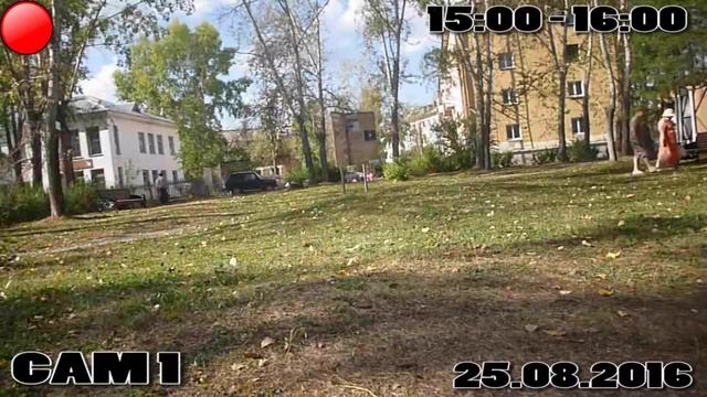 ОДИН ИЗ МОМЕНТОВ ЗАПИСИ КАМЕРЫ ВИДЕОНАБЛЮДЕНИЯ В ПАРКЕ ПОБЕДЫ смотреть онлайн