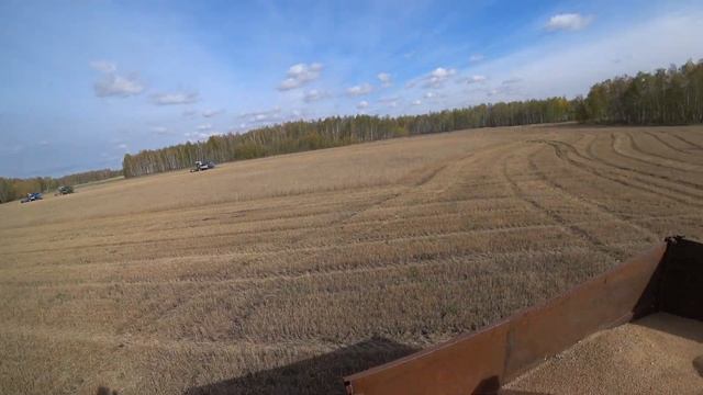 Окончание уборки 2021, помощь соседям, продувка комбайнов! смотреть онлайн