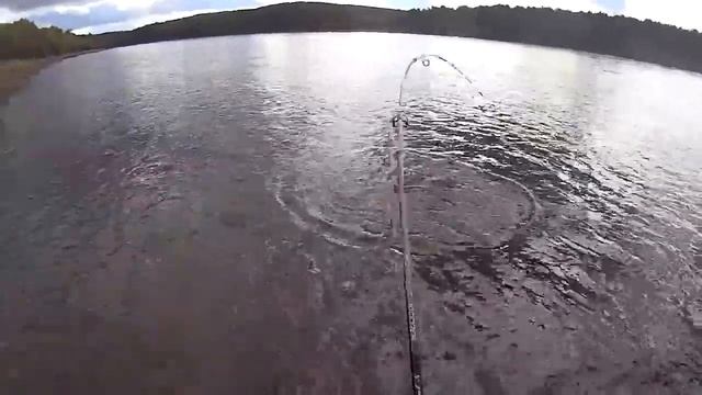 Рыбалка на реке Зея.