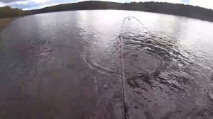 Рыбалка на реке Зея.