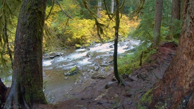 4K Virtual Hike - Amazing Nature Scenery With Soothing Music - Sol Duc Falls Nature Trail