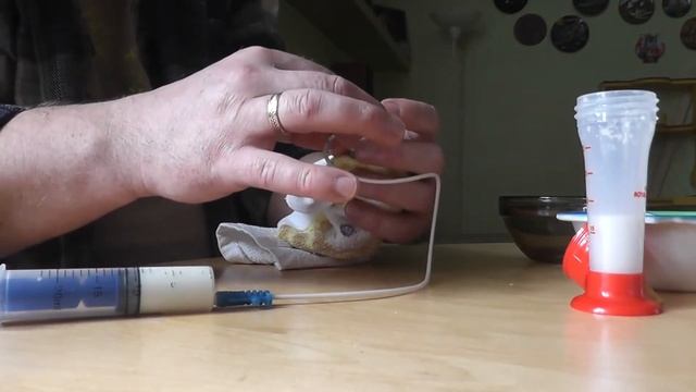 Кормление котёнка через зонд смотреть онлайн
