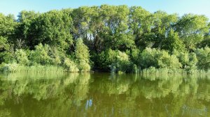 двое в лодке не считая собаки...рыбалка на Дону в 35 плюс в тени...