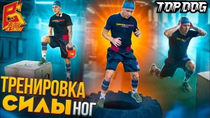Тренировка силы ног для скорости футворка / Упражнения от бойца Top Dog Евгения «Шиши» Шишкова