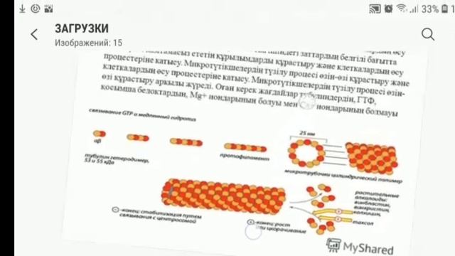 Мембранасыз органоидтер 71-сабақ смотреть онлайн