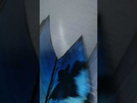 Звёздная бабочка. Стр 47-60 смотреть онлайн