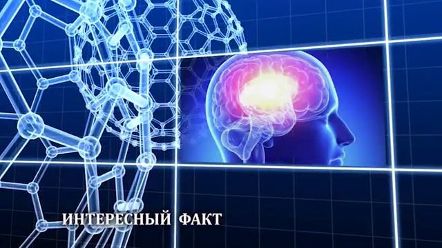 Мед Эксперт 18. 03. 2017 смотреть онлайн