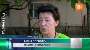 Дедовские методы уничтожения бродячих собак