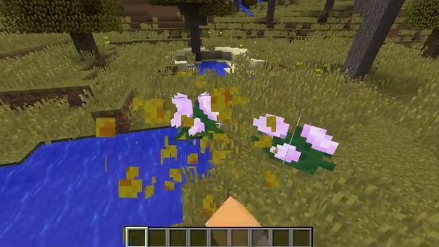 Minecraft 1.8.9 PERFORMANCE Test on MacBook Pro 2012 - Intel HD Graphics 4000 смотреть онлайн