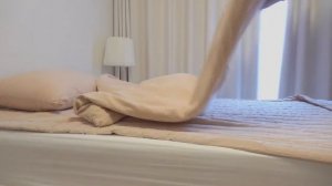 Cats vs Dinosaur | Kittisaurus