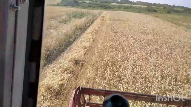 23.07.22 Початок сезону! #massey ferguson 187 смотреть онлайн