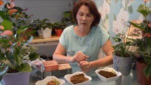 Из чего и как приготовить грунт для антуриума, ответы на вопросы. Часть 1.