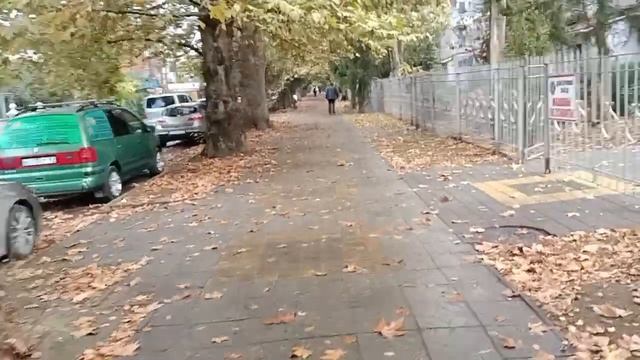 Анапа в листьях после дождя. 3 ноября 2023. смотреть онлайн