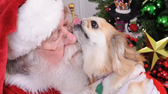 2014-11-22 Galt Sant Photos смотреть онлайн