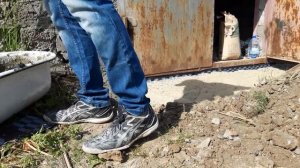 КУПИЛ УБИТЫЙ ГАРАЖ Ч.3| ОТМОСТКА ДЛЯ ГАРАЖА СВОИМИ РУКАМИ| РЕМОНТ ГАРАЖА ?♂??