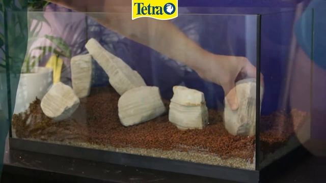 Setting up your first Aquarium Part One - Preparing the Aquarium смотреть онлайн