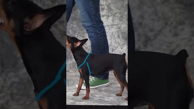 Семейные путешествия на велосипедах