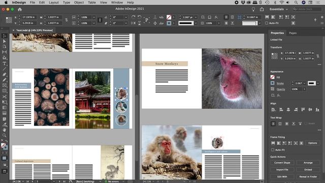 What Does This Button Do in InDesign? (Split Window) смотреть онлайн