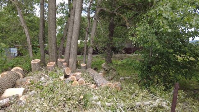 Обзор дачи для друзей и родственников который периодически спрашивают нет ли фотографий участка. смотреть онлайн