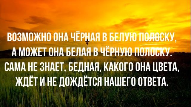 Загадка про животное с черными и белыми полосками для детей 3-4-5 лет с ответами смотреть онлайн