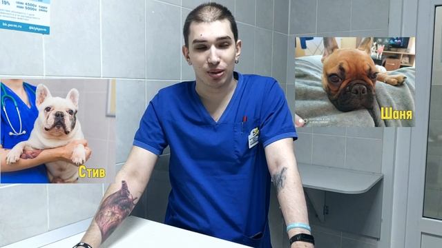 У Александра Белова есть татуировка собаки? смотреть онлайн