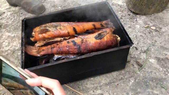 Рыба ? #рыбы#рыба#горячеекопчение#выходные#первомай смотреть онлайн