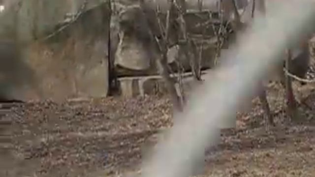 Гепард на прогулке 2 смотреть онлайн