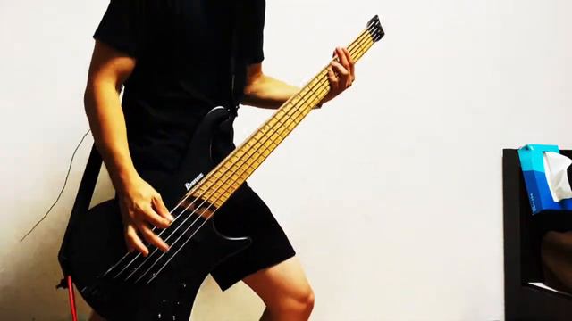 Ill Nino - I Am Loco || Bass Cover смотреть онлайн