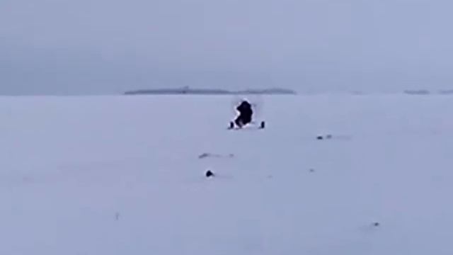 Серёгина телега. смотреть онлайн