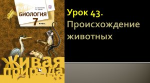 Урок 43. Происхождение животных