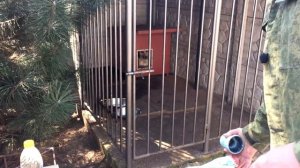 Как ЛЕГКО и БЫСТРО  ОТМЫТЬ ОПРЫСКИВАТЕЛЬ от бордоской жидкости!!!