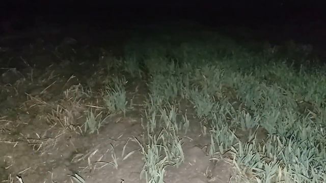 Казачий стан 8. Немного летних находок! смотреть онлайн