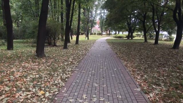 Gmini GM-STD3200B test video смотреть онлайн
