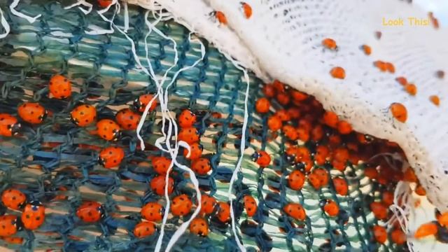 Гениальные и смешные записи в школьных тетрадях! смотреть онлайн