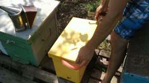 Делаю сборный отводок на плодную матку. Пчеловодство