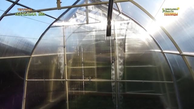 ТЕПЛИЦА "КАПЕЛЬКА 3М». РАЗДЕЛЕНИЕ ТЕПЛИЦЫ НА ДВЕ ТЕПЛИЦЫ. ГЛУХАЯ ПЕРЕГОРОДКА. КАПИТАЛЬНАЯ ТЕПЛИЦА смотреть онлайн