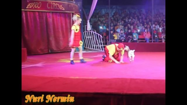 Цирк "Шапито" 2015г. смотреть онлайн