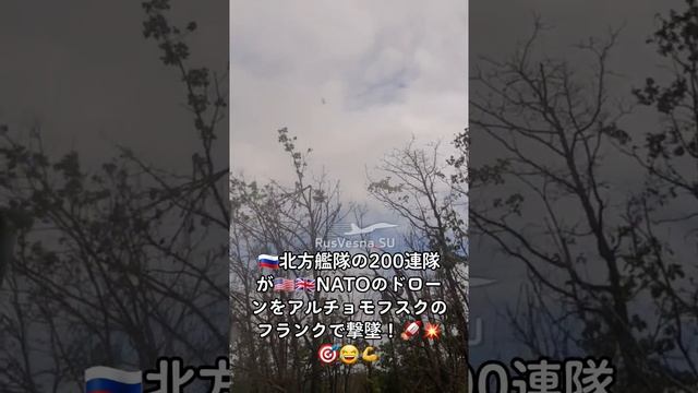 ??北方艦隊の200連隊が????NATOのドローンをアルチョモフスク（バフムト）のフランクで撃墜！????? #北方艦隊 #200連隊 #NATOドローン #アルチョモフスク смотреть онлайн