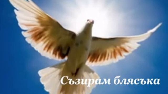 Елена Найденова (Sun) - Приятел с главно "П" смотреть онлайн