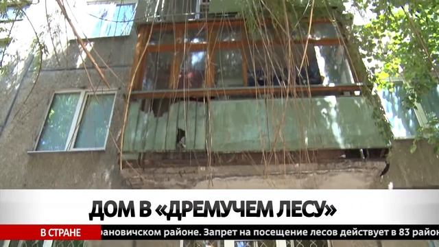 ДОМ В «ДРЕМУЧЕМ ЛЕСУ» смотреть онлайн