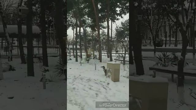 2023 Andijan Park Navoiy.андижан парк навоий.