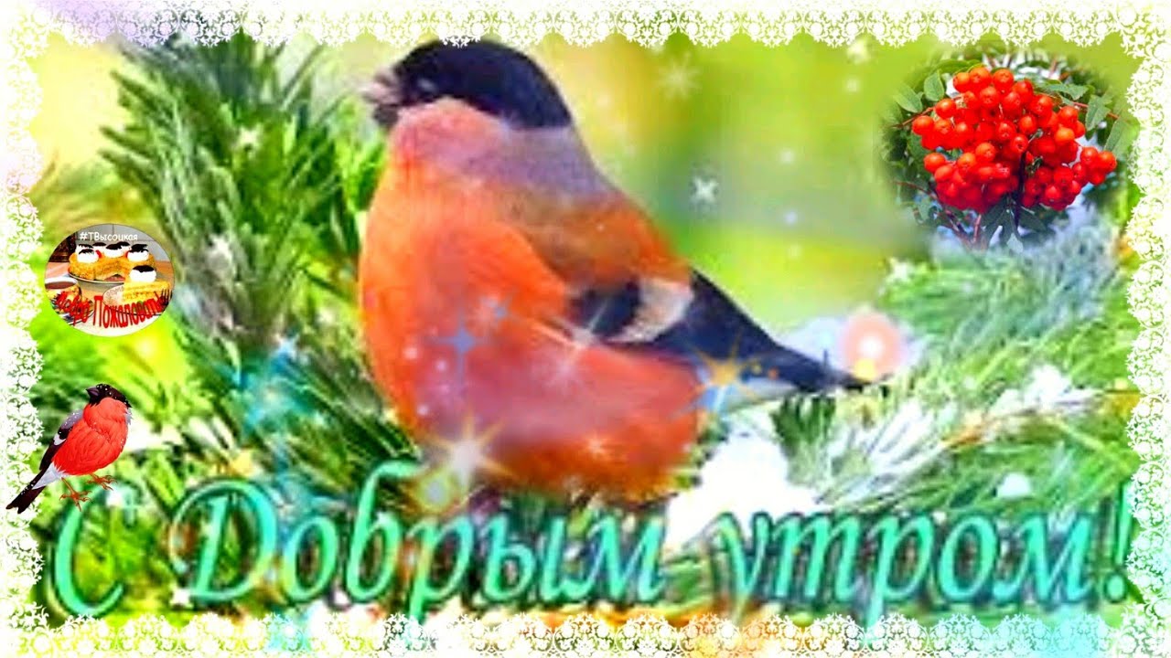 С добрым утром! Отличного дня! Музыкальная открытка смотреть онлайн