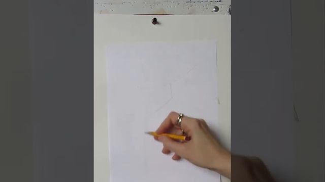 Птицы 1 смотреть онлайн