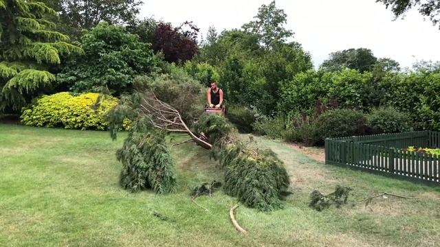 CAST SSQ11 Plus demo with MJC Tree Care смотреть онлайн