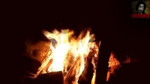 NOSFERATU - СБОРНИК ЛУЧШИХ ИСТОРИИ МЕСЯЦЕВ МРАКОПЕДИИ