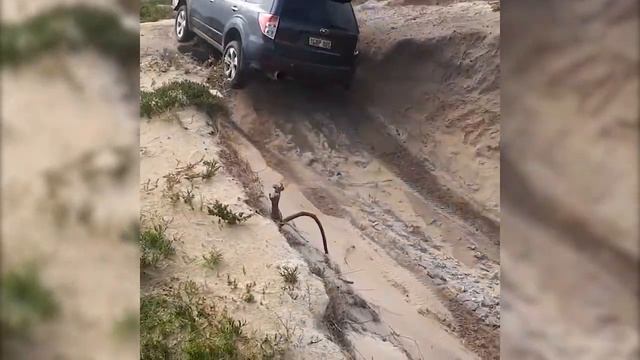 Subaru SH Forester Turbo Conquers Massive Sand Dune Off Road смотреть онлайн