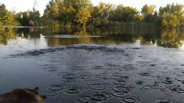 Какой ОПАРЫШ лучше – БЕЛЫЙ или КРАСНЫЙ?! Ароматизировать ОПАРЫША или НЕТ?! Эксперимент – День 1